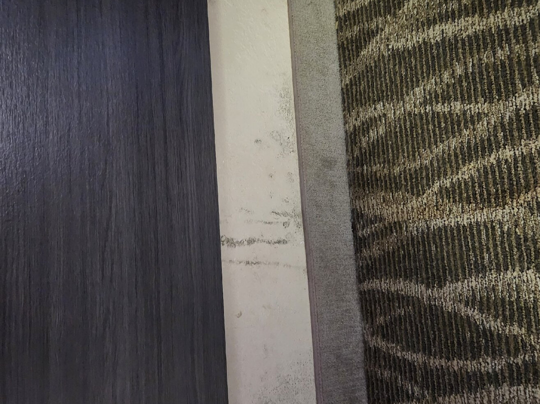 Quality Inn Hillsville主图