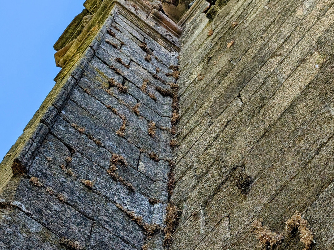 Guias-Historiadores de Extremadura-卡塞雷斯必去景点