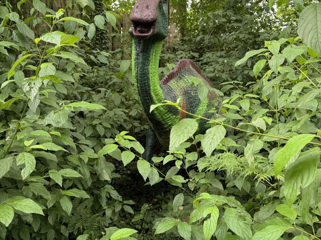 Dino Park景点图片