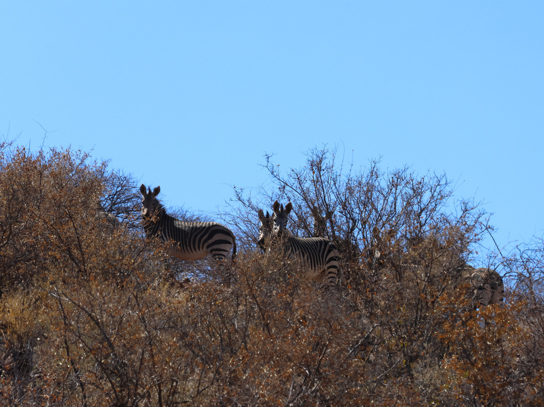 Guesthouse Camp Oubokberg主图