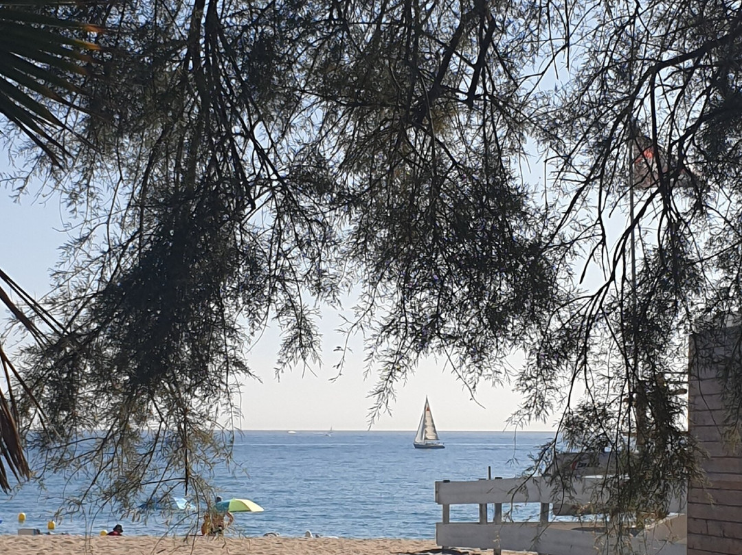 Promenade du Front de Mer-滨海阿尔热莱必去景点