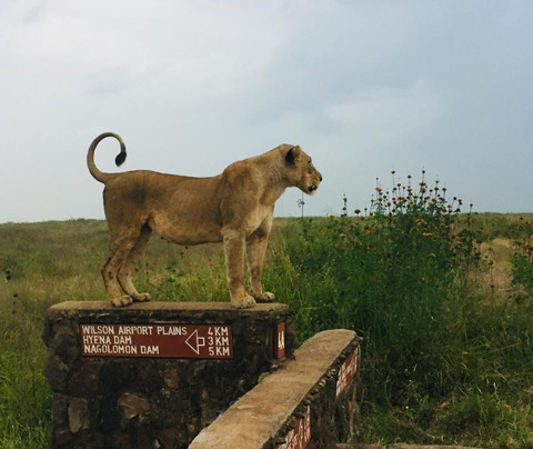 Kenya Tru Nomads-蒙巴萨必去景点