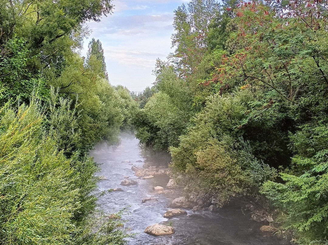 Parco Fluviale delle Acquevive景点图片