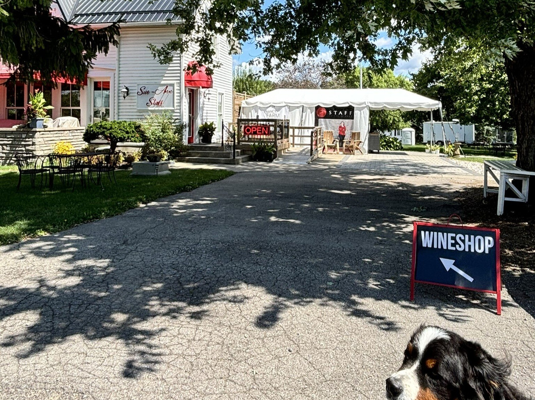 Sue-Ann Staff Estate Winery景点图片