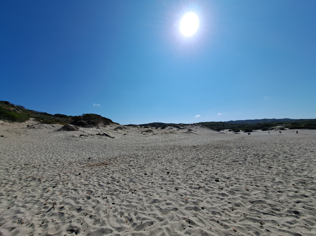 Spiaggia Lu Pultiddolu-圣特雷莎加卢拉必去景点