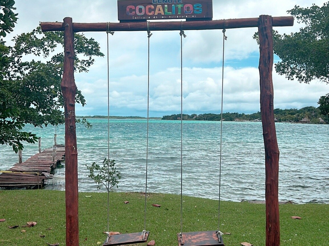 Cenote Cocalitos景点图片
