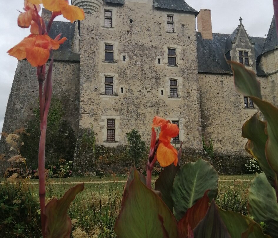 Château de Baugé景点图片