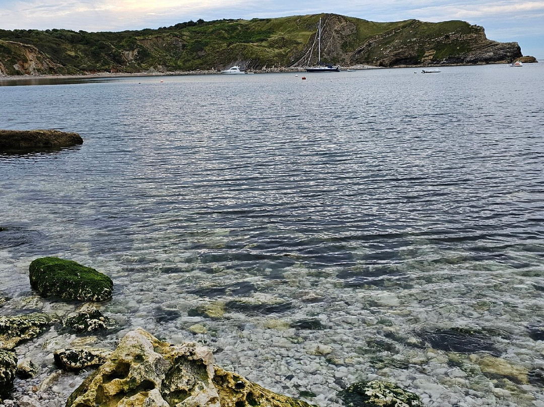 Lulworth House B&B主图