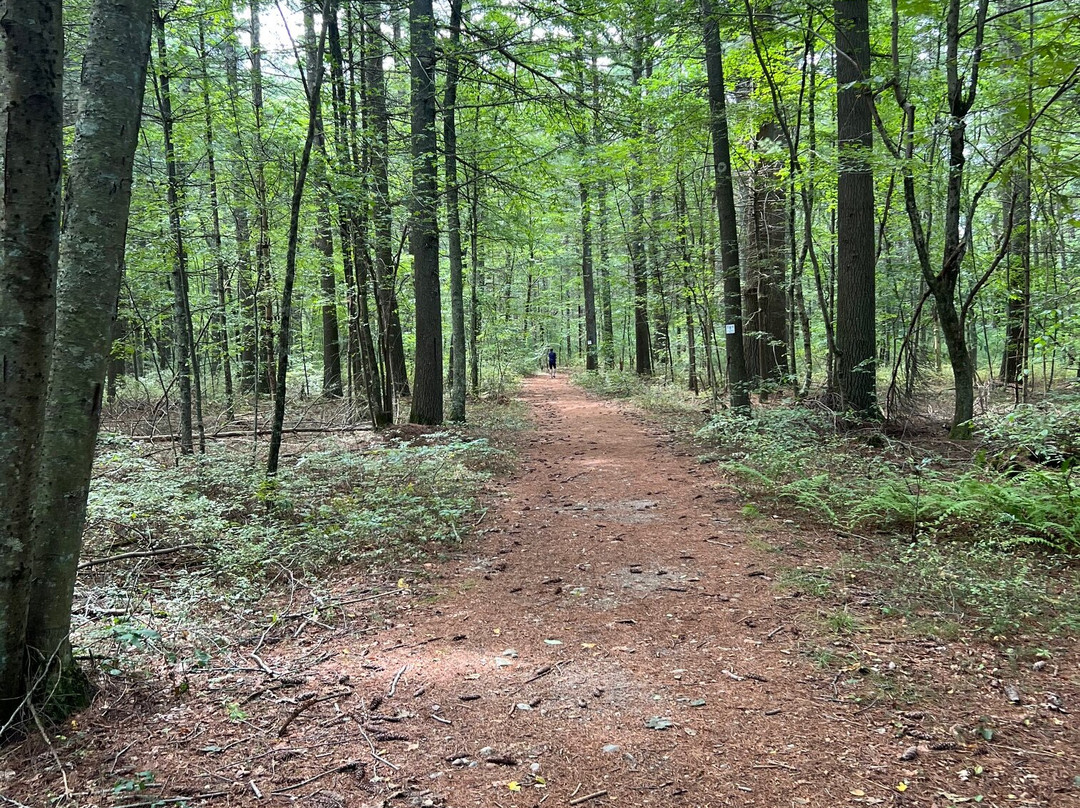 Jerimoth Hill-Foster必去景点