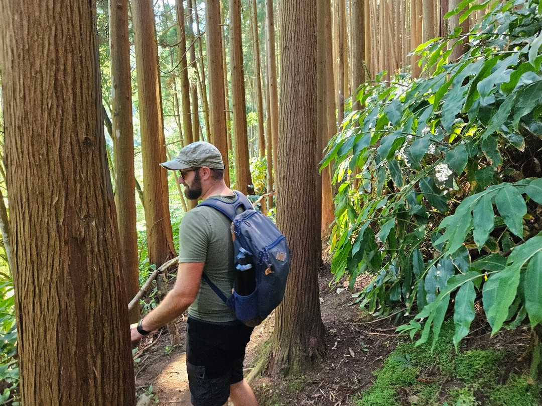 Green Corner Tours-Faja de Baixo必去景点