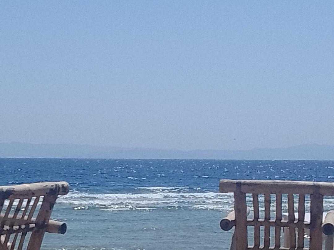 Jasmine Pension & Restaurant主图