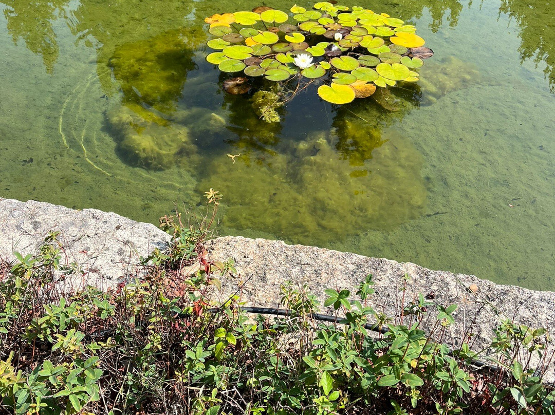 Áurea Palacio De Sober By Eurostars Hotel Company
