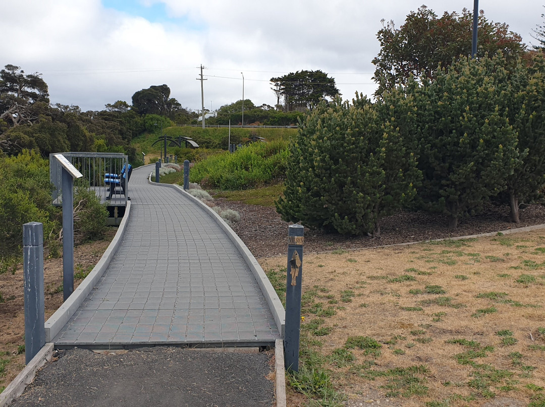 Bridge Park Playground景点图片