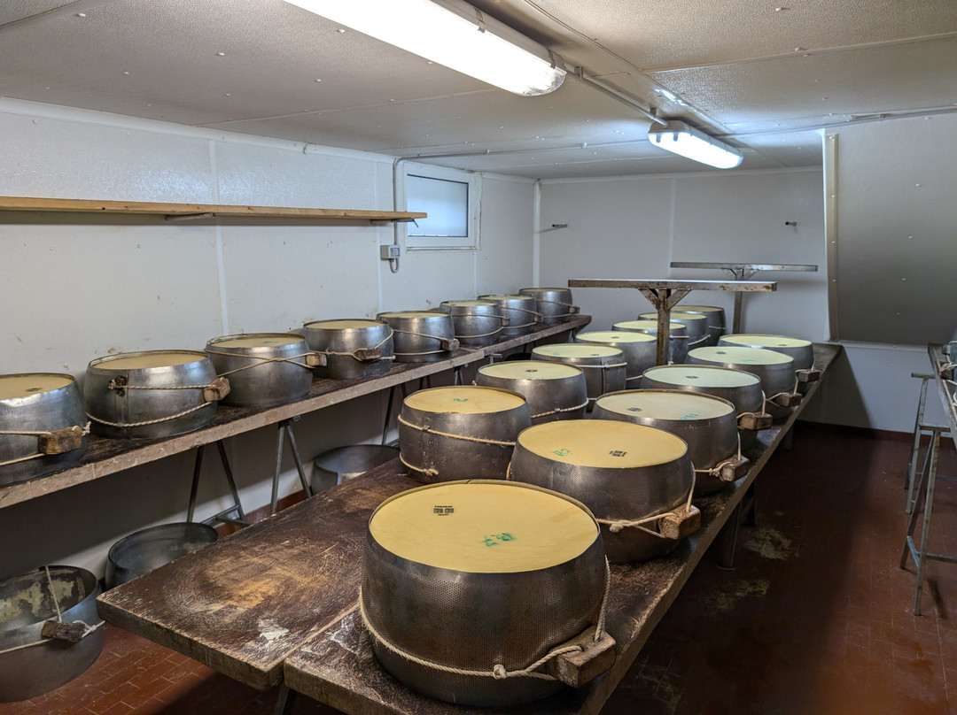 Parma Golosa Gourmet Tours-帕尔马必去景点