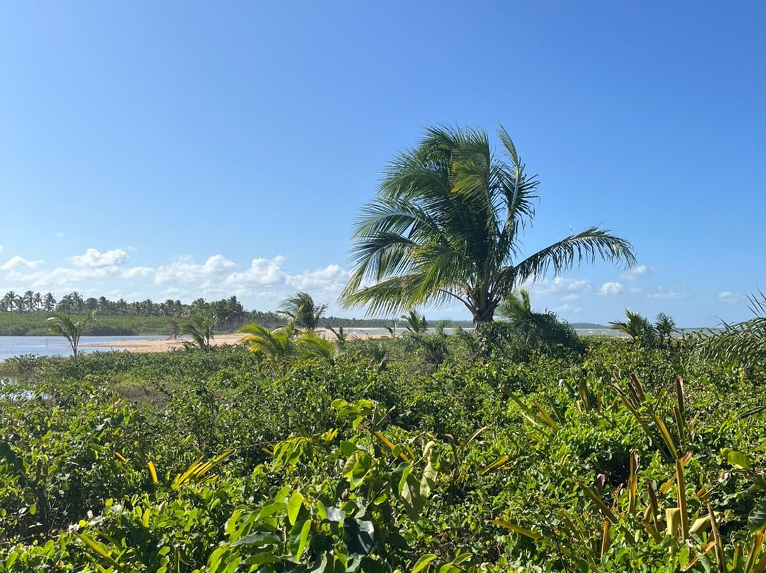 Praia de Guaiu景点图片