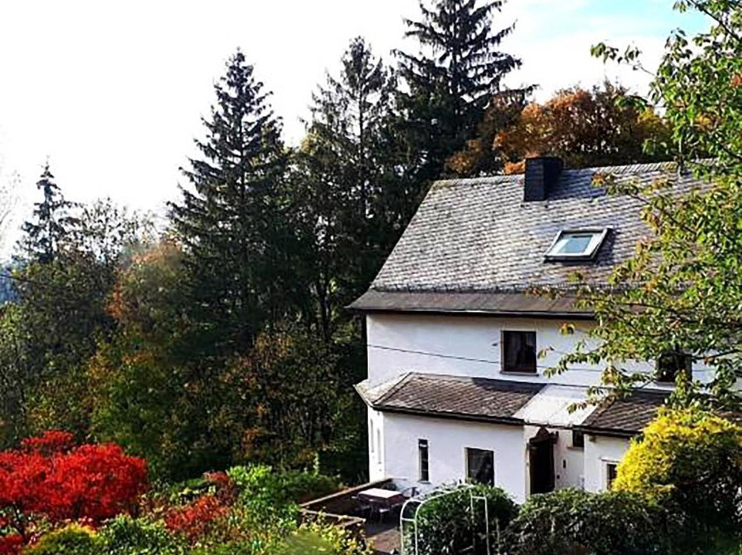 Ring Inn Nurburg主图