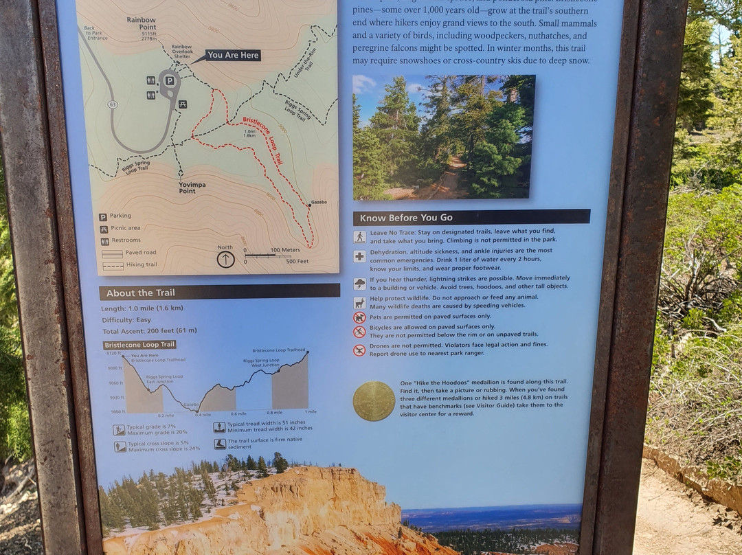 Bristlecone Loop-布莱斯峡谷国家公园必去景点