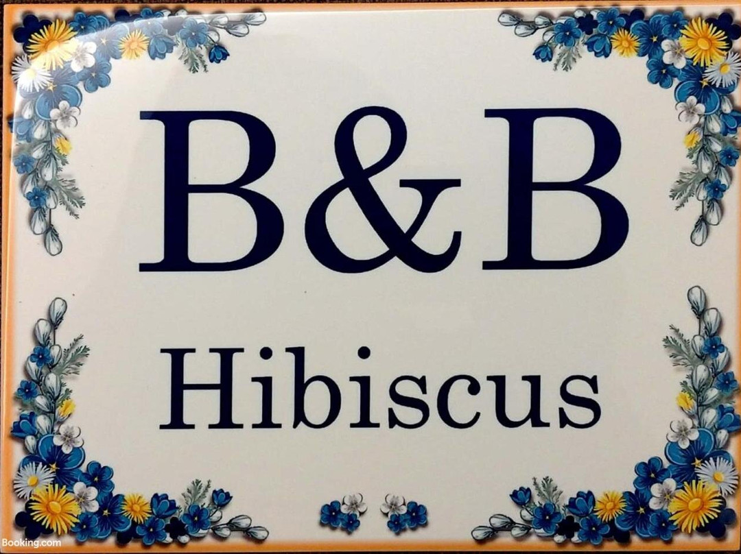 B&B Hibiscus主图