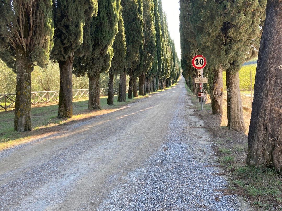 Chianti Bicycles景点图片