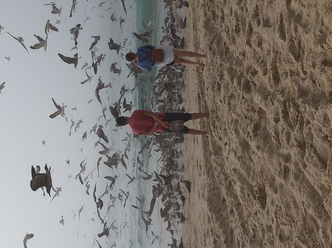 Pedrogão Beach-莱里亚必去景点