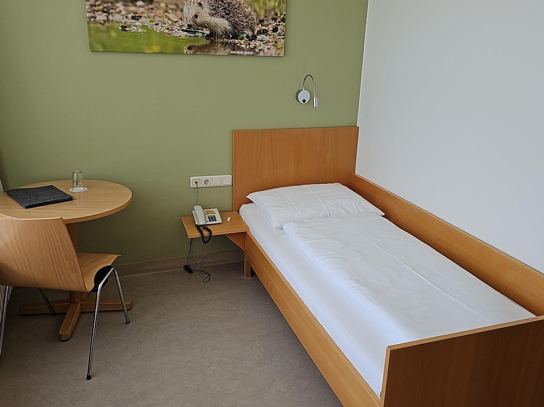 Hotel Viktor主图