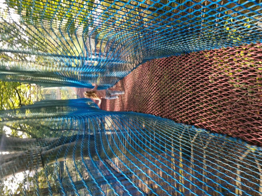 湖区丛林穿越景点图片