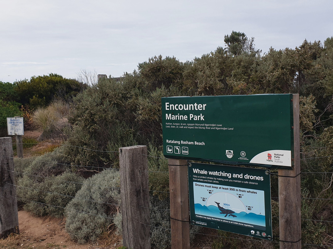 Basham Beach Conservation Park