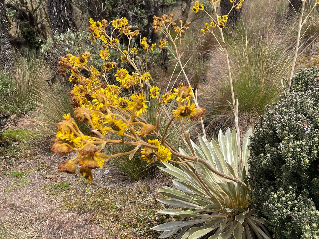 Laguna Negra-Mongui必去景点