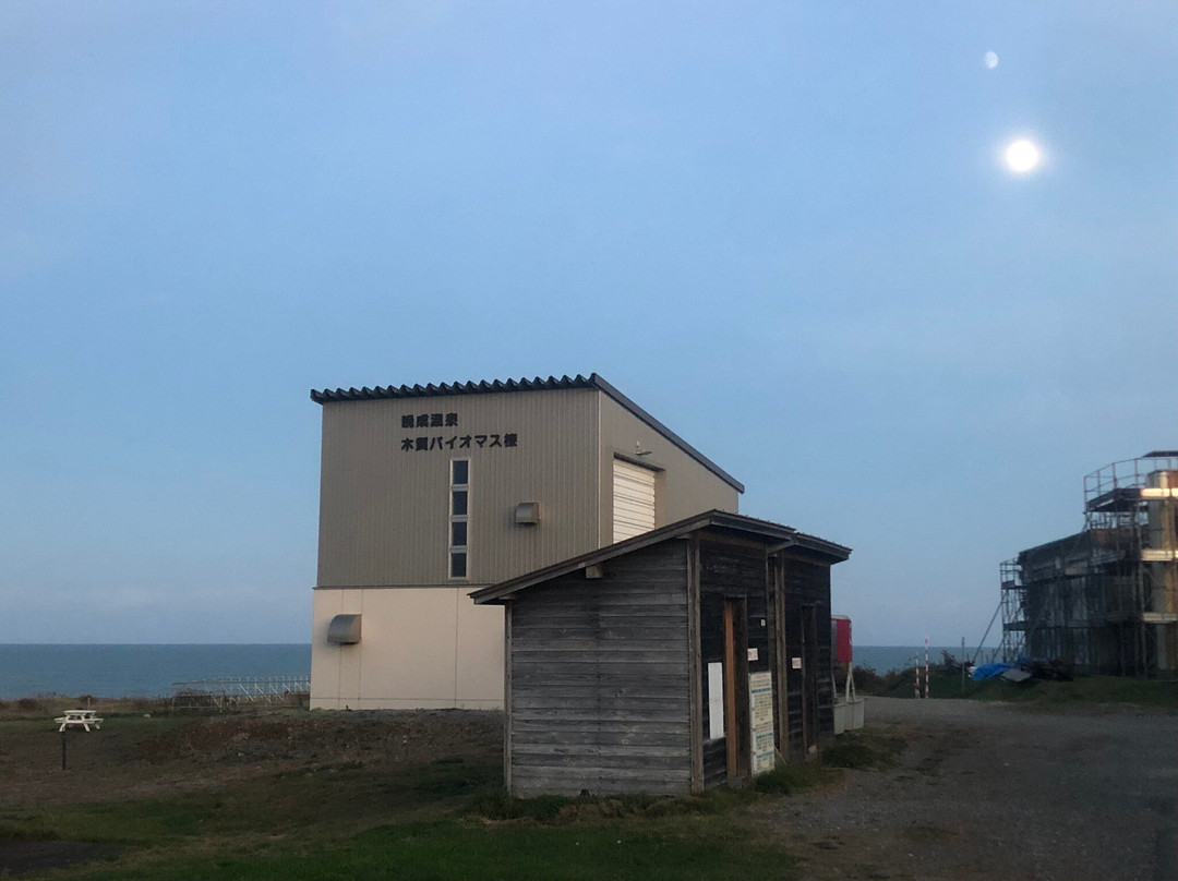 Bansei Onsen-大树町必去景点