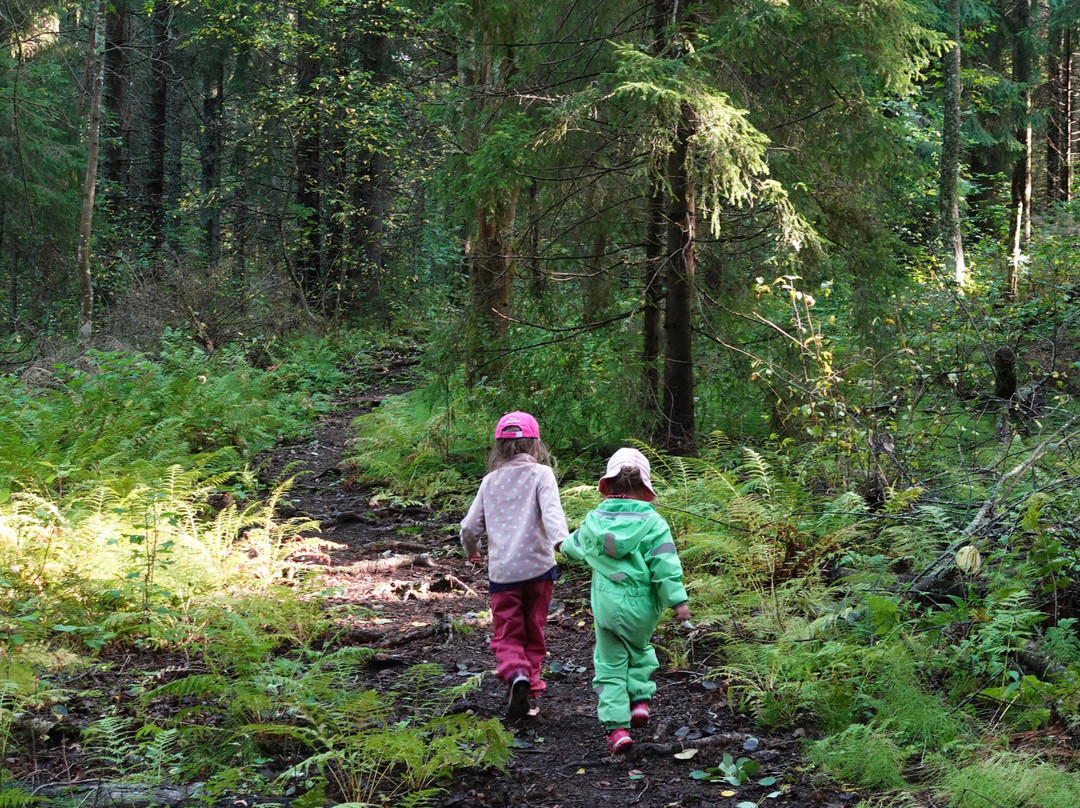 Pasolanvuori Nature Trail-Asikkala必去景点