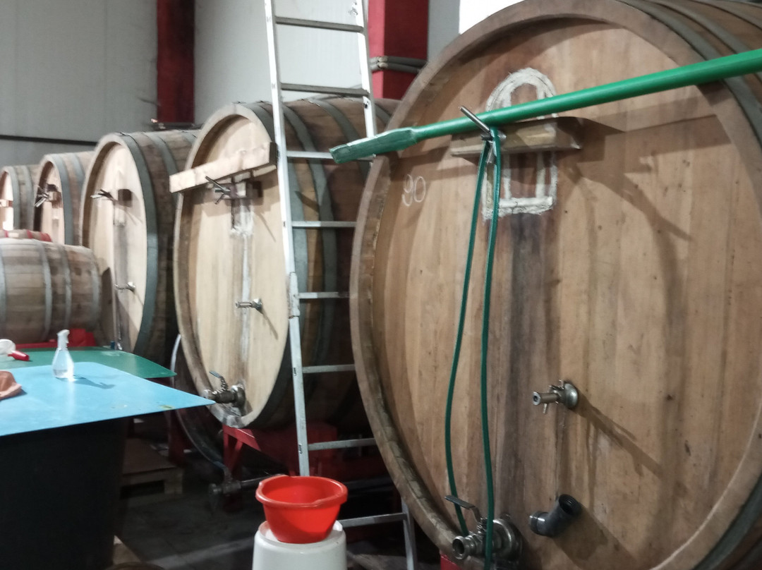 Tomcat's Winery-Irig必去景点