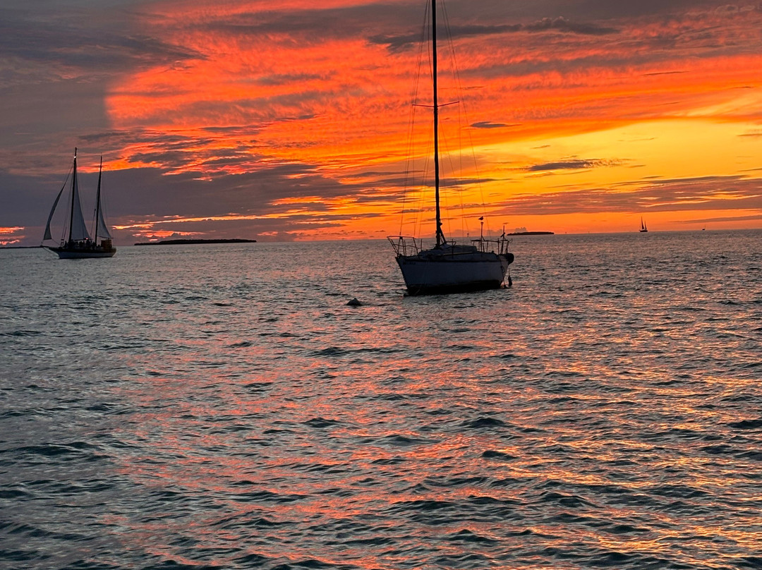 Cruisin’ Tikis KeyWest-基韦斯特必去景点