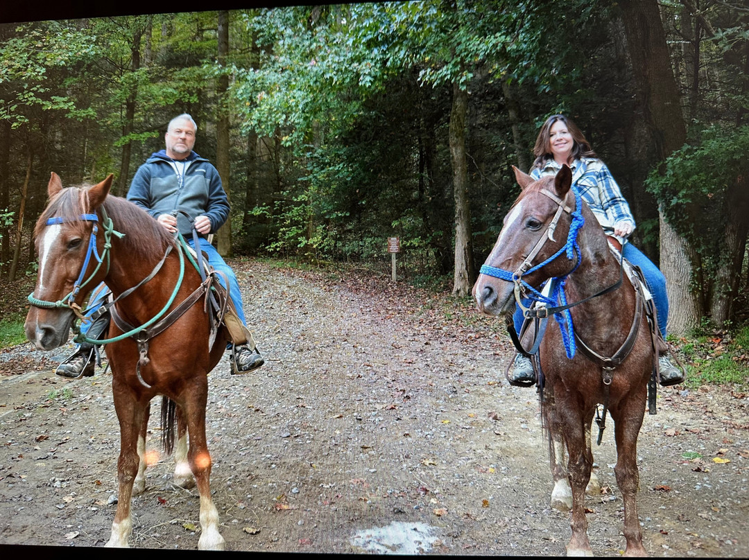 Sugarland Riding Stables-盖林柏格必去景点