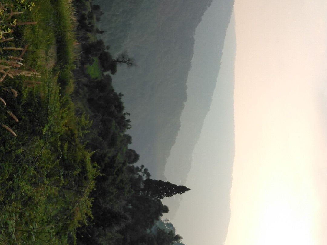 Seclude Pangot, Perch主图