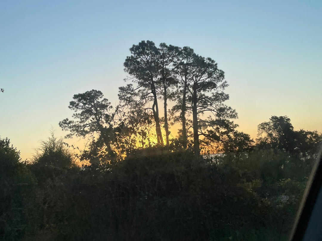 Quality Inn & Suites Pensacola Bayview主图