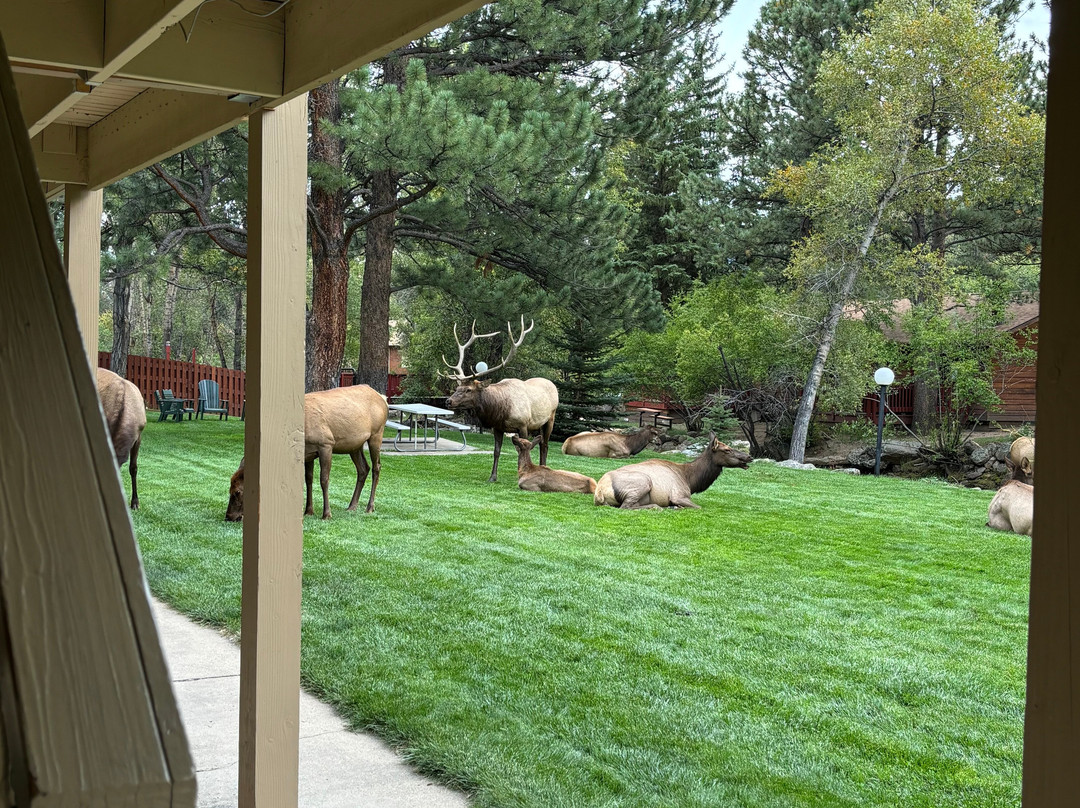 Deer Crest Resort主图