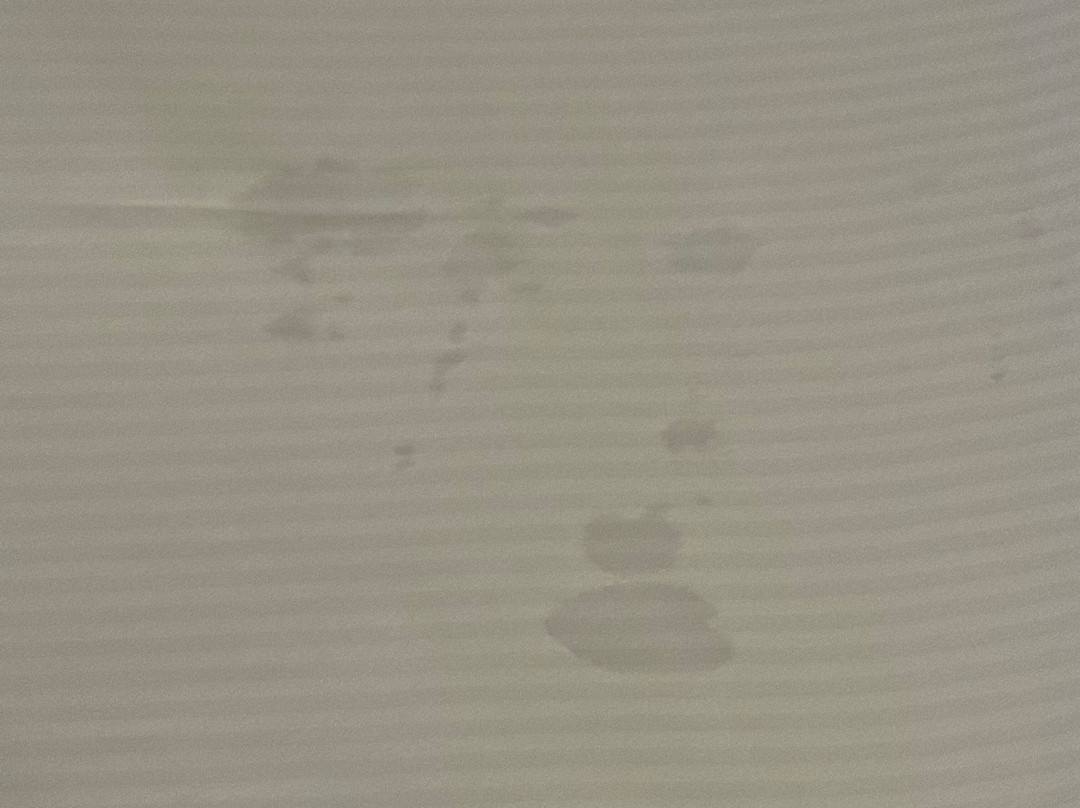 哈里斯堡希尔顿酒店主图