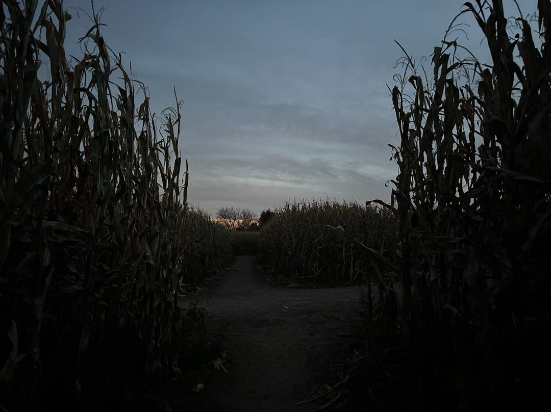 Richardson Adventure Farm-Spring Grove必去景点