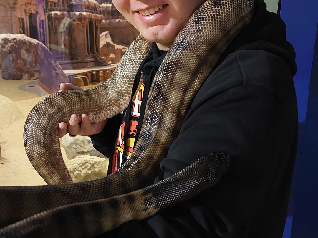 Serpentarium Wildlife Park Tasmania景点图片