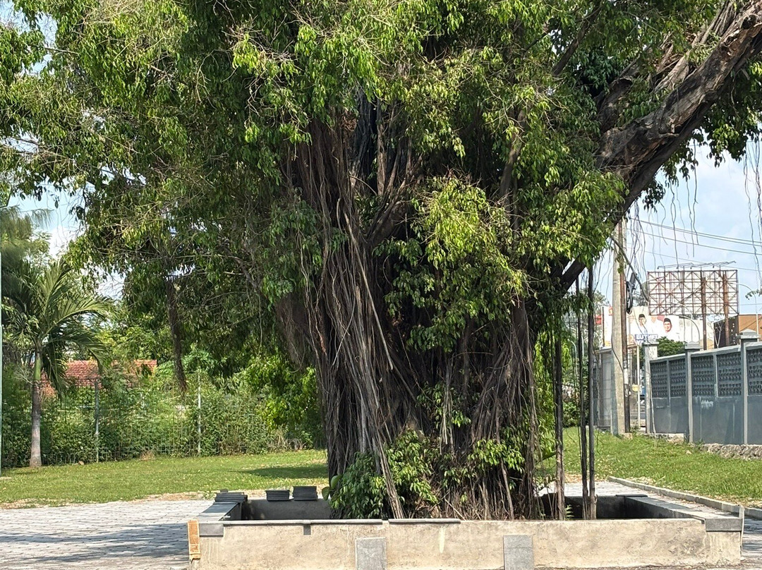 Ereveld Kalibanteng景点图片