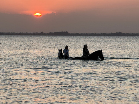 Urafiki Tours and Safari-孥归必去景点