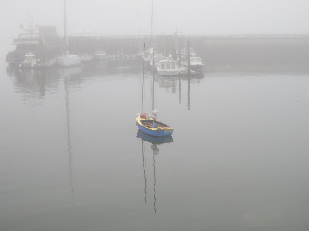 Rockland Harbor Trail景点图片