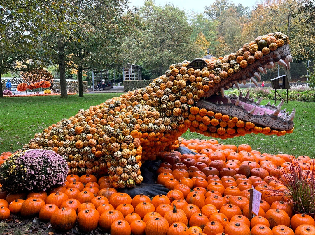 Gartenschau Kaiserslautern景点图片