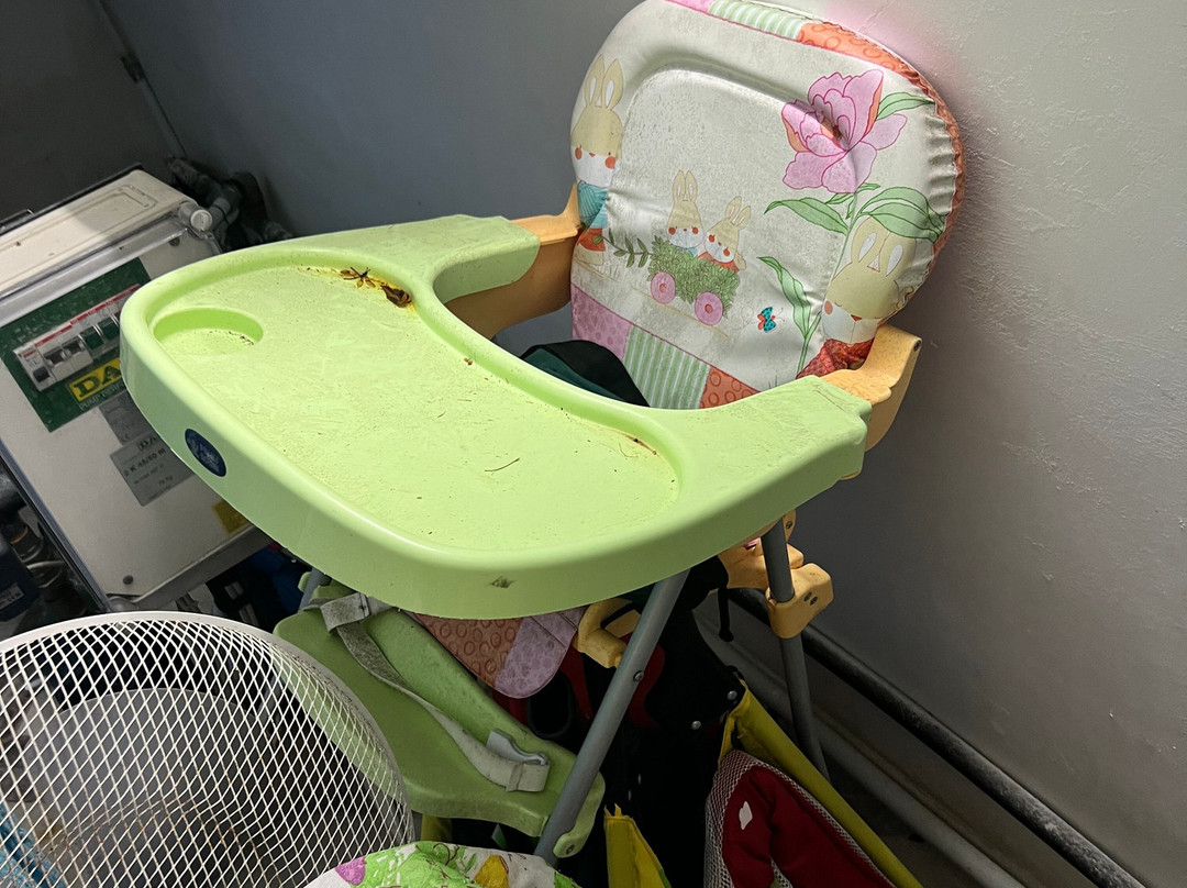 Il Giardino di Lisa主图
