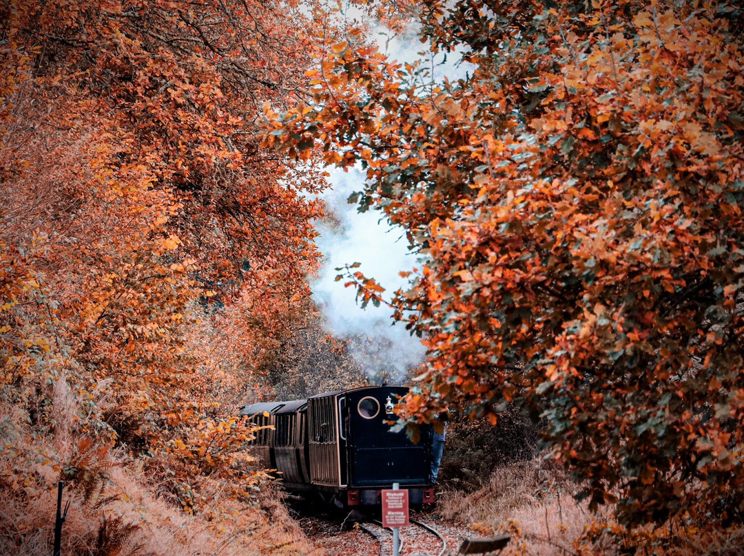 Bala Lake Railway景点图片