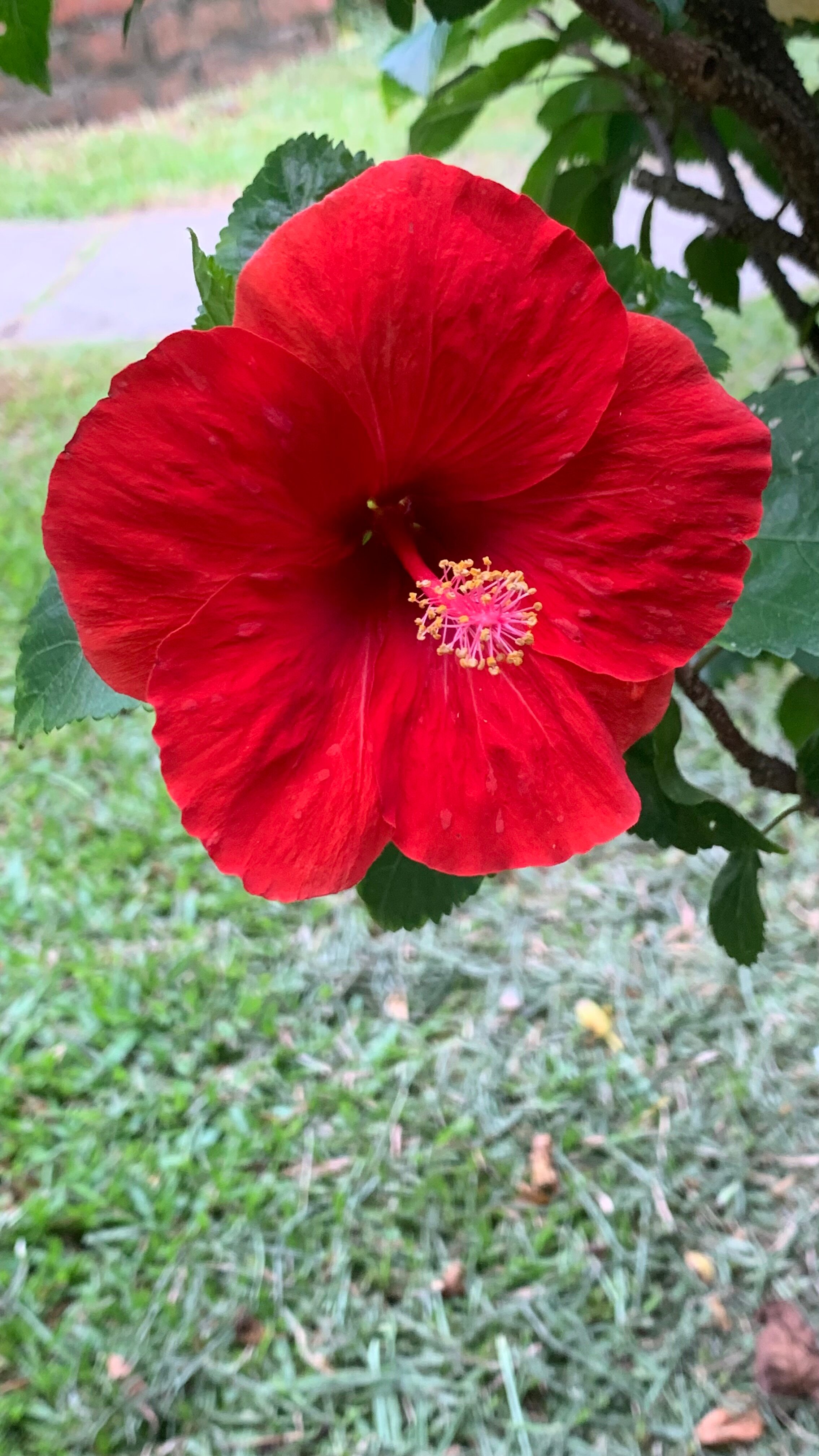 新加坡乐怡渡假村(城东)-浴室