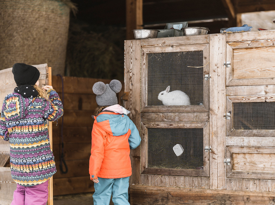 Family Apartments Winklwiese主图