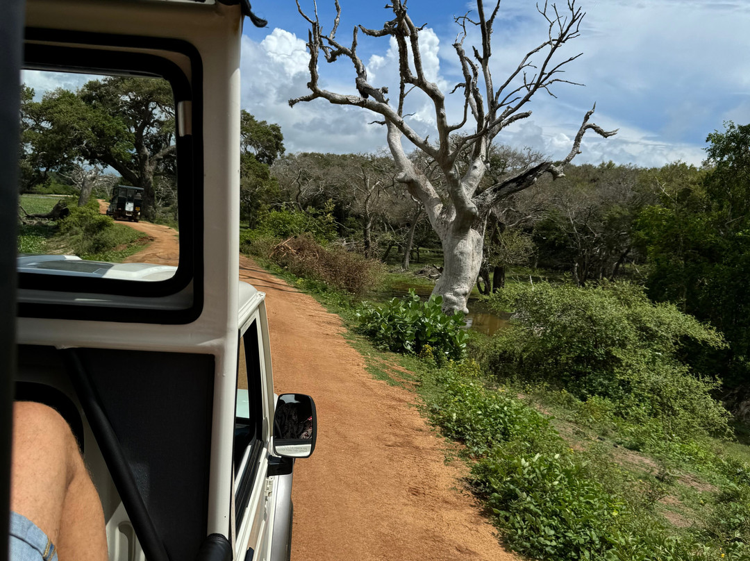 Bentota Lucky Tours & Travels景点图片