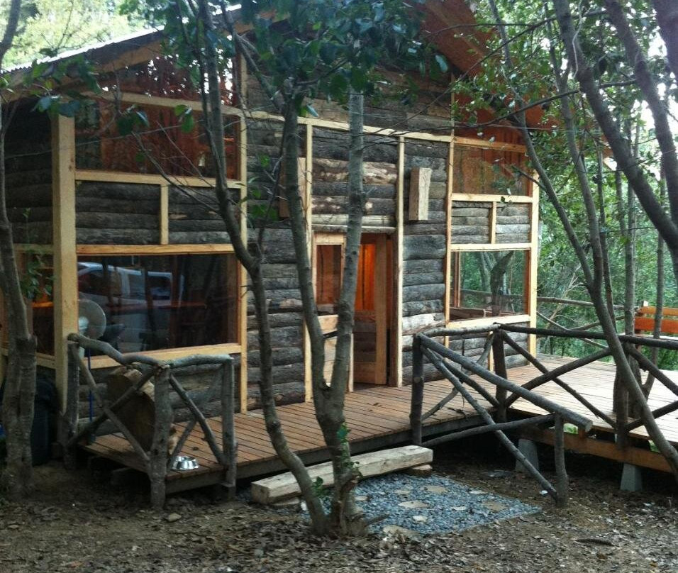 Wonderful Rustic Cabin, with Native Trees, with Rio Trancura, Equipped