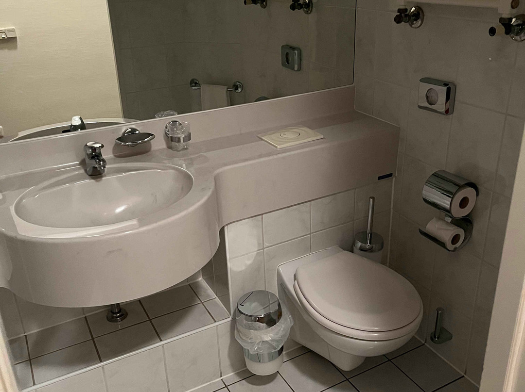 Schwarzer Adler主图